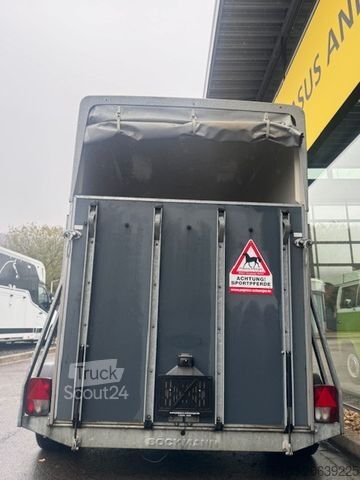 Hästtransportsläp BÖCKMANN Duo 2 Pferdeanhänger 2t. Holz/Poly