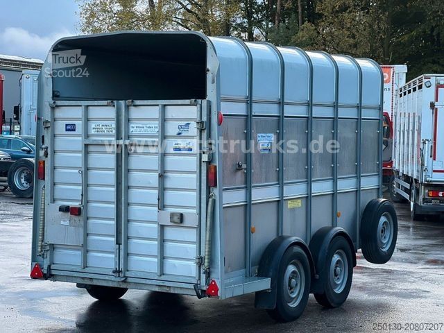 Atrelado de transporte de cavalos IFOR WILLIAMS TA35 PKW Tandem Viehanhänger