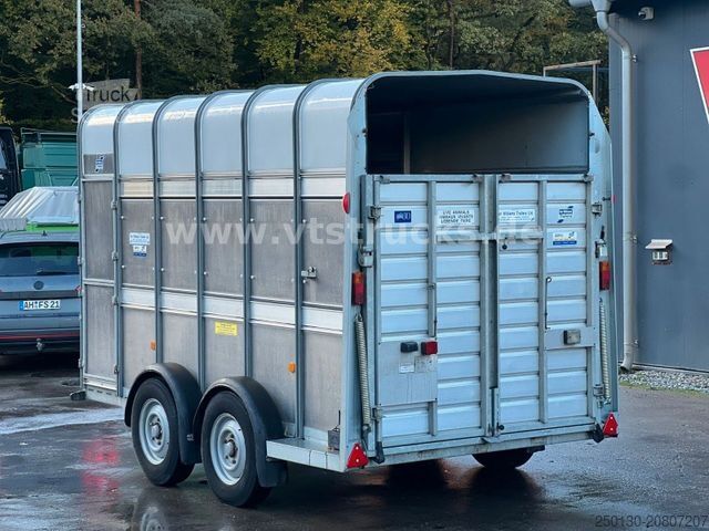 Atrelado de transporte de cavalos IFOR WILLIAMS TA35 PKW Tandem Viehanhänger