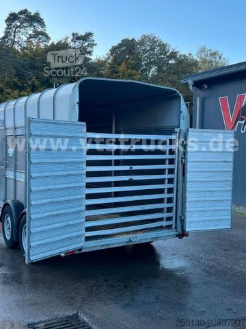 Atrelado de transporte de cavalos IFOR WILLIAMS TA35 PKW Tandem Viehanhänger