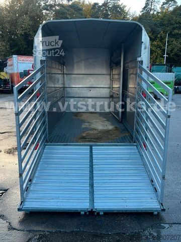 Atrelado de transporte de cavalos IFOR WILLIAMS TA35 PKW Tandem Viehanhänger