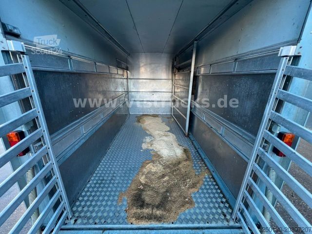 Atrelado de transporte de cavalos IFOR WILLIAMS TA35 PKW Tandem Viehanhänger