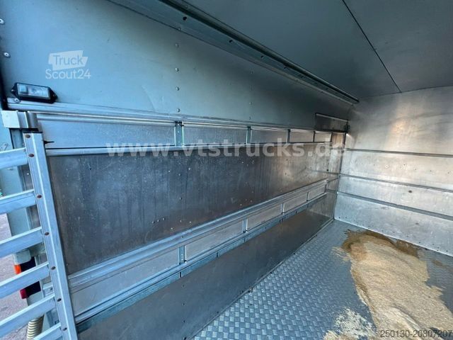 Atrelado de transporte de cavalos IFOR WILLIAMS TA35 PKW Tandem Viehanhänger