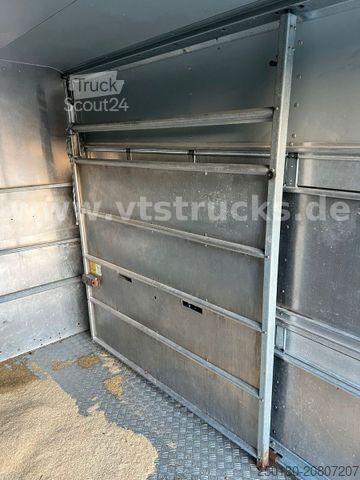 Atrelado de transporte de cavalos IFOR WILLIAMS TA35 PKW Tandem Viehanhänger