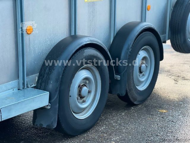 Atrelado de transporte de cavalos IFOR WILLIAMS TA35 PKW Tandem Viehanhänger