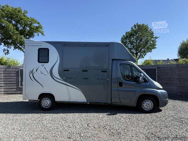 Transportul cailor Peugeot Boxer | HORSETRUCK | GUILLAUME | PRO SAFETY 3XL...