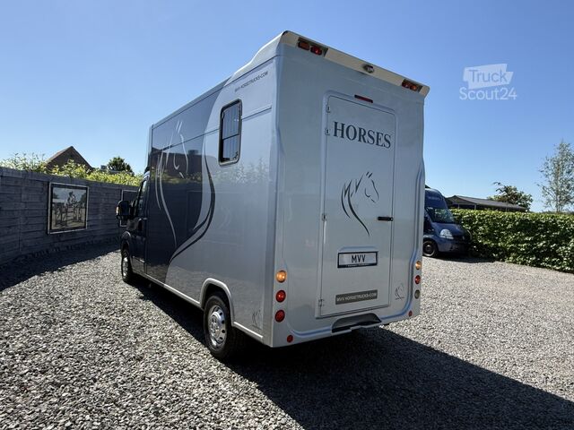 Transportul cailor Peugeot Boxer | HORSETRUCK | GUILLAUME | PRO SAFETY 3XL...