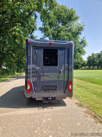 Horse transportation Renault Master STX 5 pers pro-safety paardenwagen, DEMO