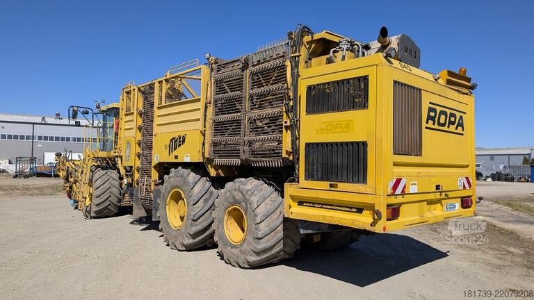 Combine de recoltat sfeclă de zahăr Ropa TIGER V8-3 beet harvester / 6000 MTH