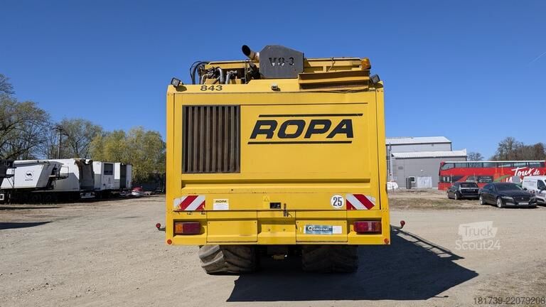 Combine de recoltat sfeclă de zahăr Ropa TIGER V8-3 beet harvester / 6000 MTH