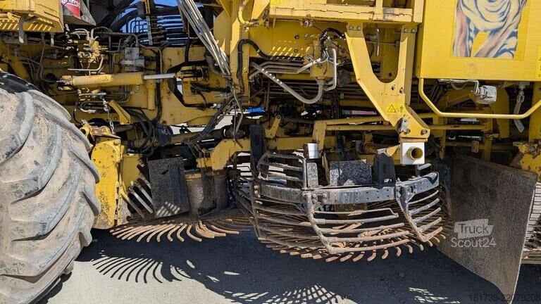 Combine de recoltat sfeclă de zahăr Ropa TIGER V8-3 beet harvester / 6000 MTH