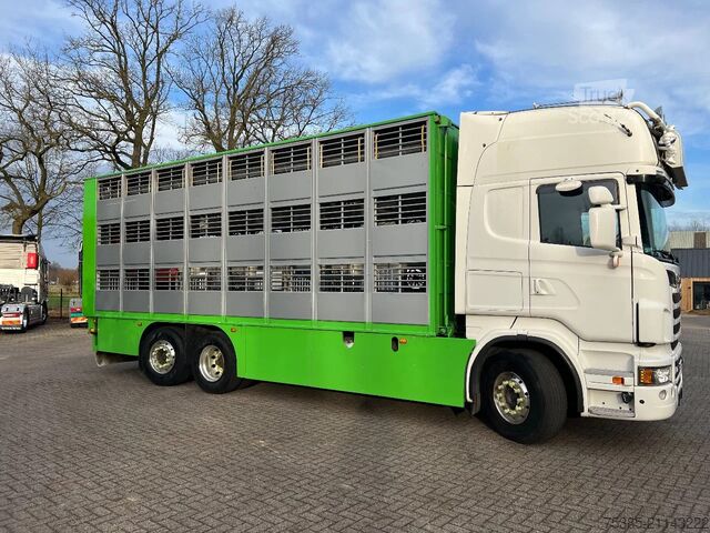Cattle transport Scania R560 V8 6x2/4 Finkl Type2 Wage/weigh lift belas...