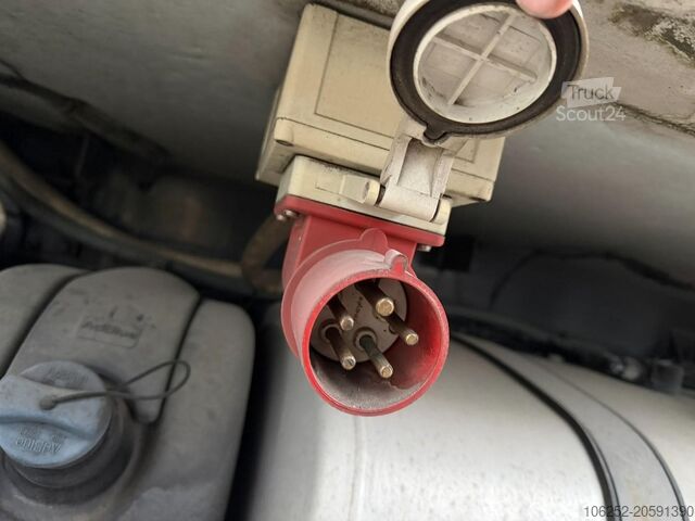 Transporte refrigerado/congelado DAF LF 55.300 - 19T FRIGO THERMOKING TS-300e - TAIL...