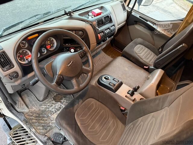 Transporte refrigerado/congelado DAF LF 55.300 - 19T FRIGO THERMOKING TS-300e - TAIL...