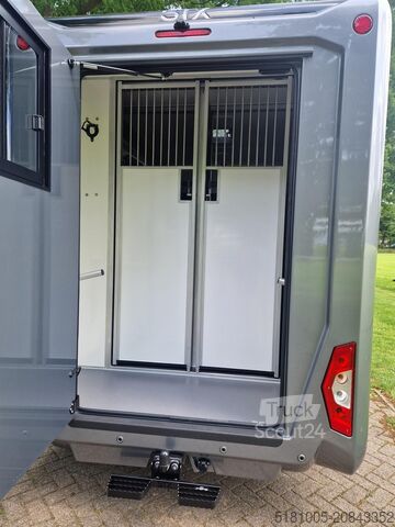 Horse transportation Renault Master STX 5 pers pro-safety paardenwagen, DEMO...