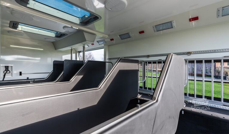 Transport de chevaux Mercedes Actros AKX Jong AKX paardenvrachtwagen 6paards ...