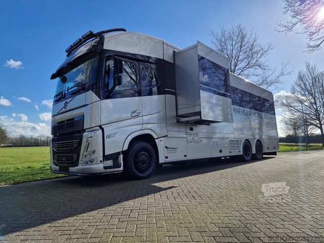 Horse transportation Volvo FH 540 Jong gebrukt 7 paards plus living pop-ot...