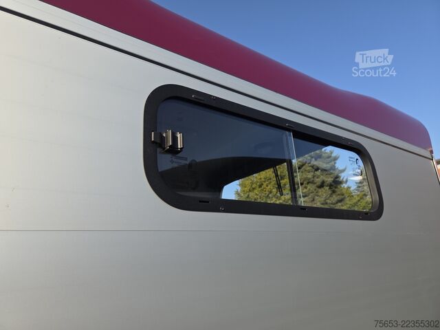 Hestetransporttrailer Cheval Liberté Touring Country 2,6t berry Sattelschrank