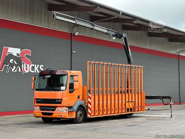 شاحنة مسطحة DAF LF 55.280 4x2 BL Pritsche mit FASSI LK & Glastr.