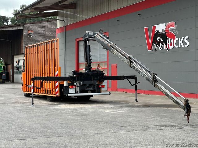 شاحنة مسطحة DAF LF 55.280 4x2 BL Pritsche mit FASSI LK & Glastr.