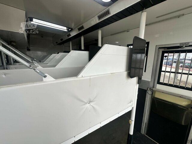 Camion pentru transport bovine MAN TGX 26510 5-6 Pferde Popout, Wohnmobilzulassung