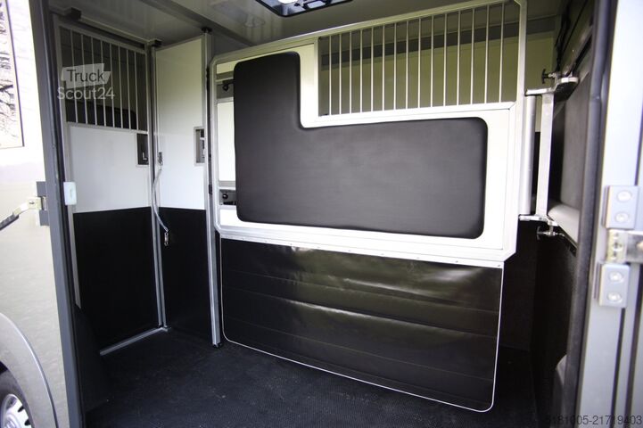 Přeprava koní Opel Movano AKX S3 paardenwagen hengsten uitvoering ...