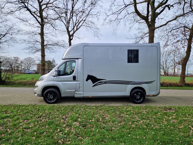 Přeprava koní Opel Movano AKX S3 paardenwagen hengsten uitvoering ...