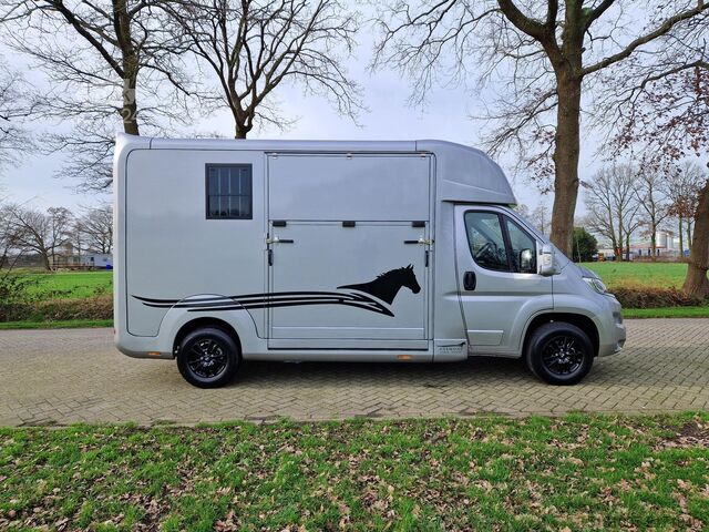 Přeprava koní Opel Movano AKX S3 paardenwagen hengsten uitvoering ...