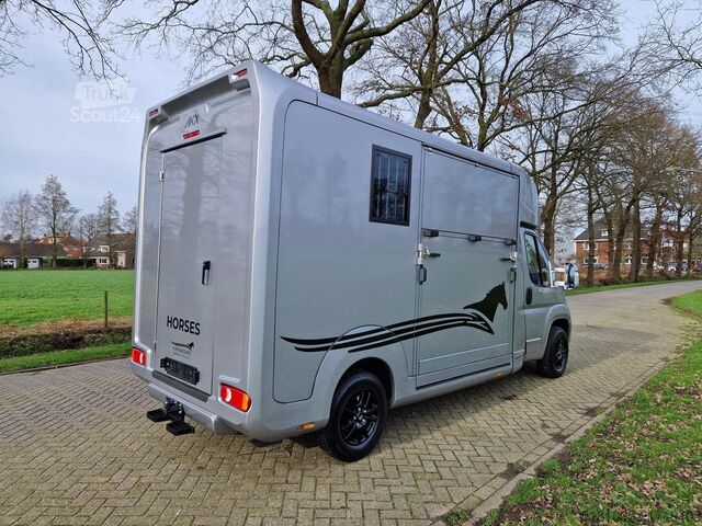 Přeprava koní Opel Movano AKX S3 paardenwagen hengsten uitvoering ...