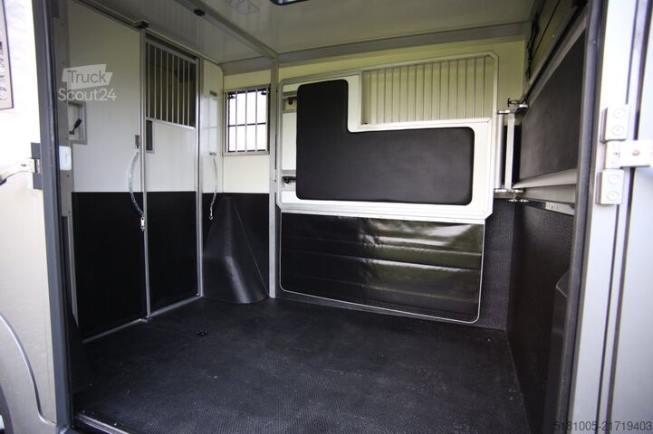 Přeprava koní Opel Movano AKX S3 paardenwagen hengsten uitvoering ...