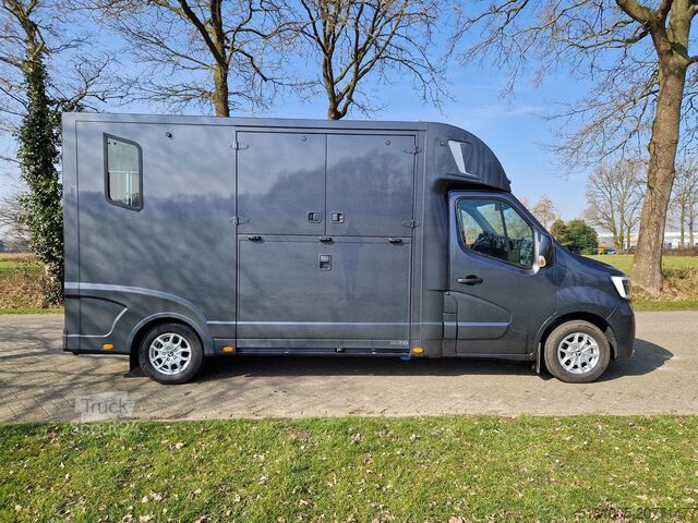 Paarden transport Renault Master Actie! Nieuw model STX 2025 paardenwagen...