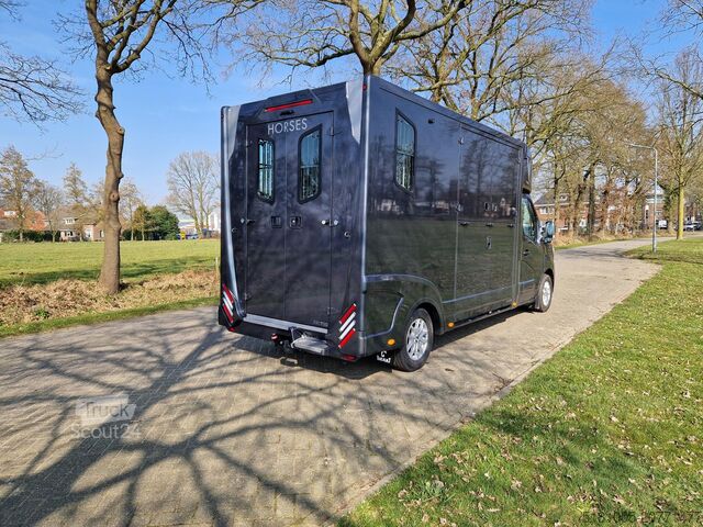 Paarden transport Renault Master Actie! Nieuw model STX 2025 paardenwagen...