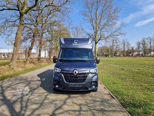Paarden transport Renault Master Actie! Nieuw model STX 2025 paardenwagen...