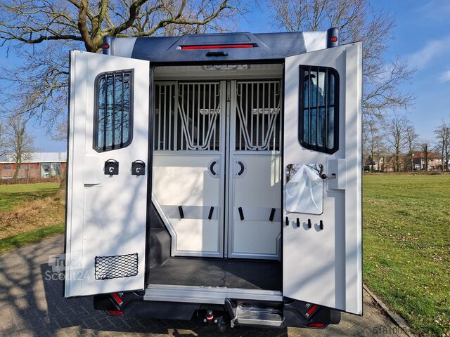 Paarden transport Renault Master Actie! Nieuw model STX 2025 paardenwagen...