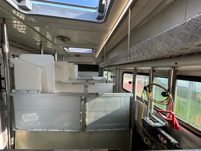 Horse transportation Iveco Eurocargo Iveco STX paardevrachtwagen voor 5 pa...