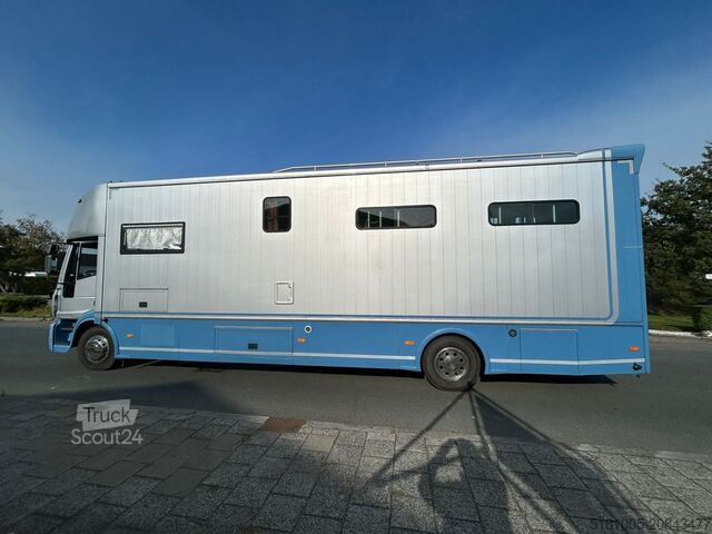 Horse transportation Iveco Eurocargo Iveco STX paardevrachtwagen voor 5 pa...