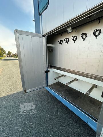 Horse transportation Iveco Eurocargo Iveco STX paardevrachtwagen voor 5 pa...