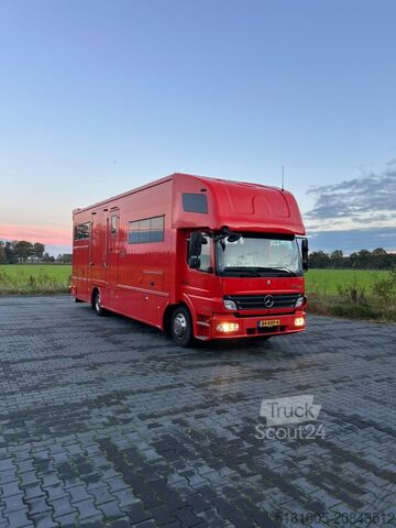 Cattle transport Mercedes Atego Mercedes Atego STX 5 Paards super conditie.