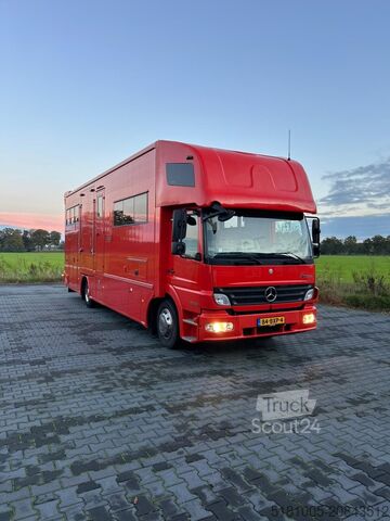 Cattle transport Mercedes Atego Mercedes Atego STX 5 Paards super conditie.