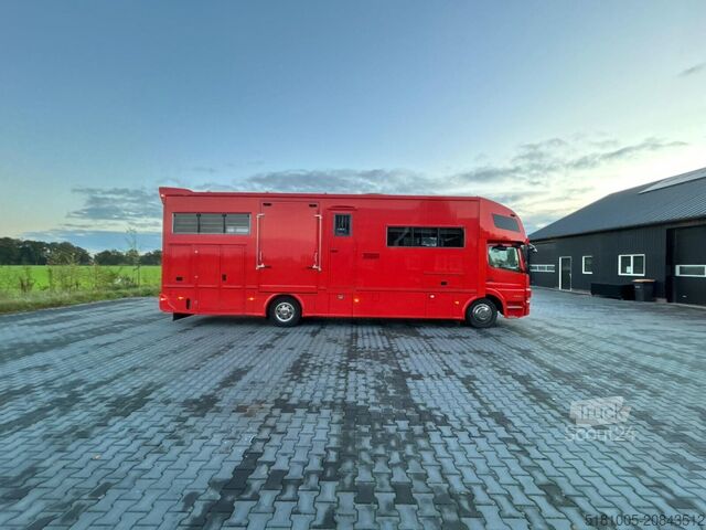 Cattle transport Mercedes Atego Mercedes Atego STX 5 Paards super conditie.