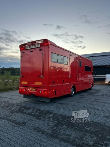 Cattle transport Mercedes Atego Mercedes Atego STX 5 Paards super conditie.
