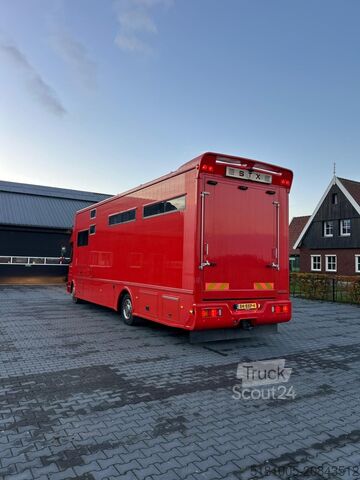 Cattle transport Mercedes Atego Mercedes Atego STX 5 Paards super conditie.