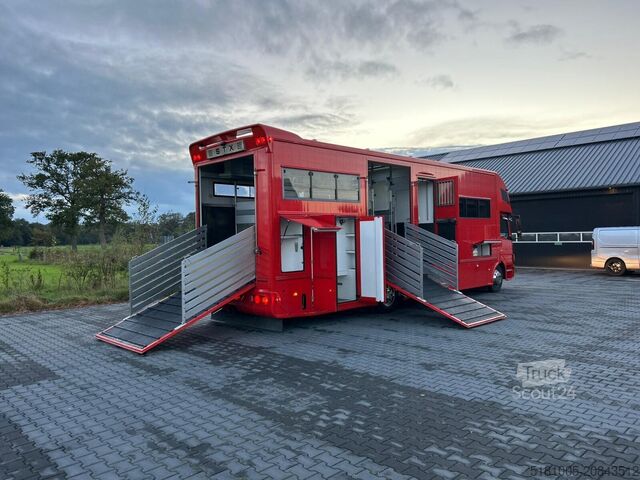 Cattle transport Mercedes Atego Mercedes Atego STX 5 Paards super conditie.