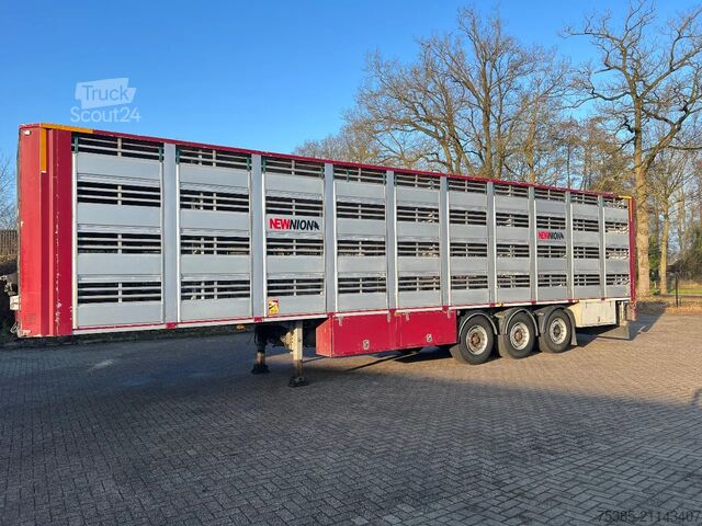 Cattle transport Berdex Newnion 4 stock livestock Type2 liftaxle 2