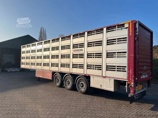 Cattle transport Berdex Newnion 4 stock livestock Type2 liftaxle 2