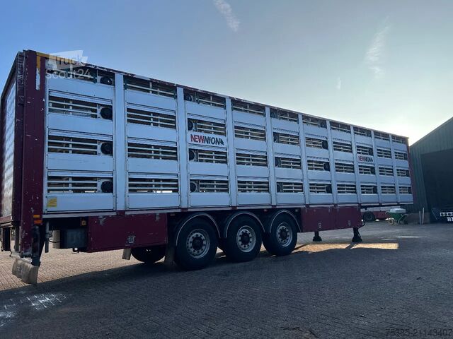 Cattle transport Berdex Newnion 4 stock livestock Type2 liftaxle 2