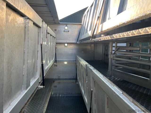 Cattle transport Berdex Newnion 4 stock livestock Type2 liftaxle 2