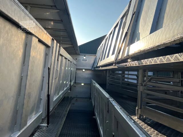 Cattle transport Berdex Newnion 4 stock livestock Type2 liftaxle 2