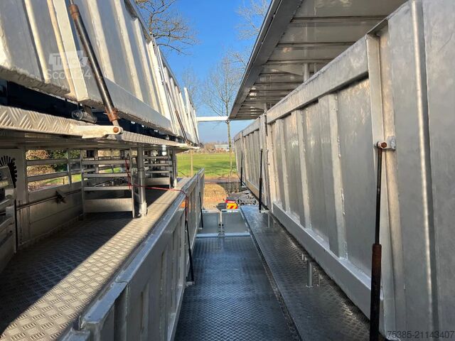 Cattle transport Berdex Newnion 4 stock livestock Type2 liftaxle 2