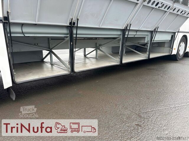 Şehirlerarası otobüs SETRA S 319 UL | Klima | Schaltgtr. | 354 PS |